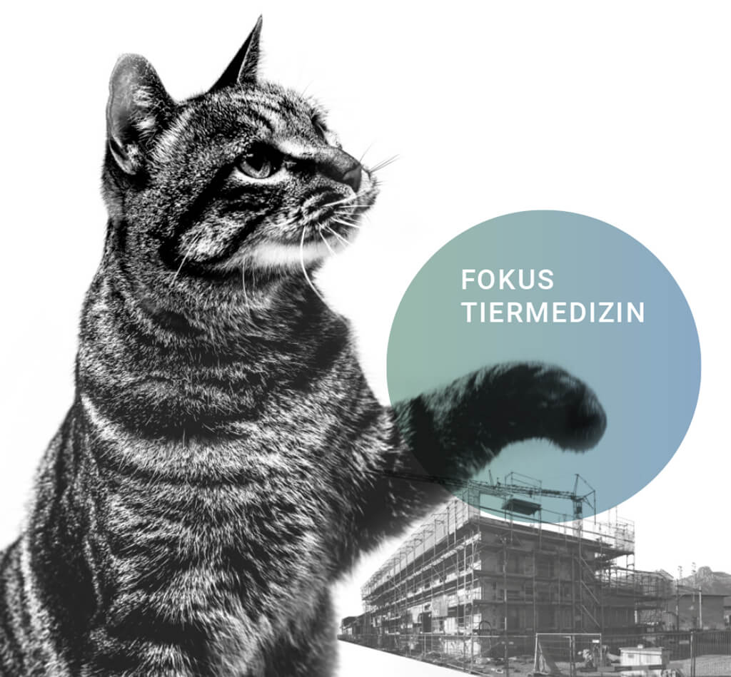 Tierärztezentrum Aare Thun